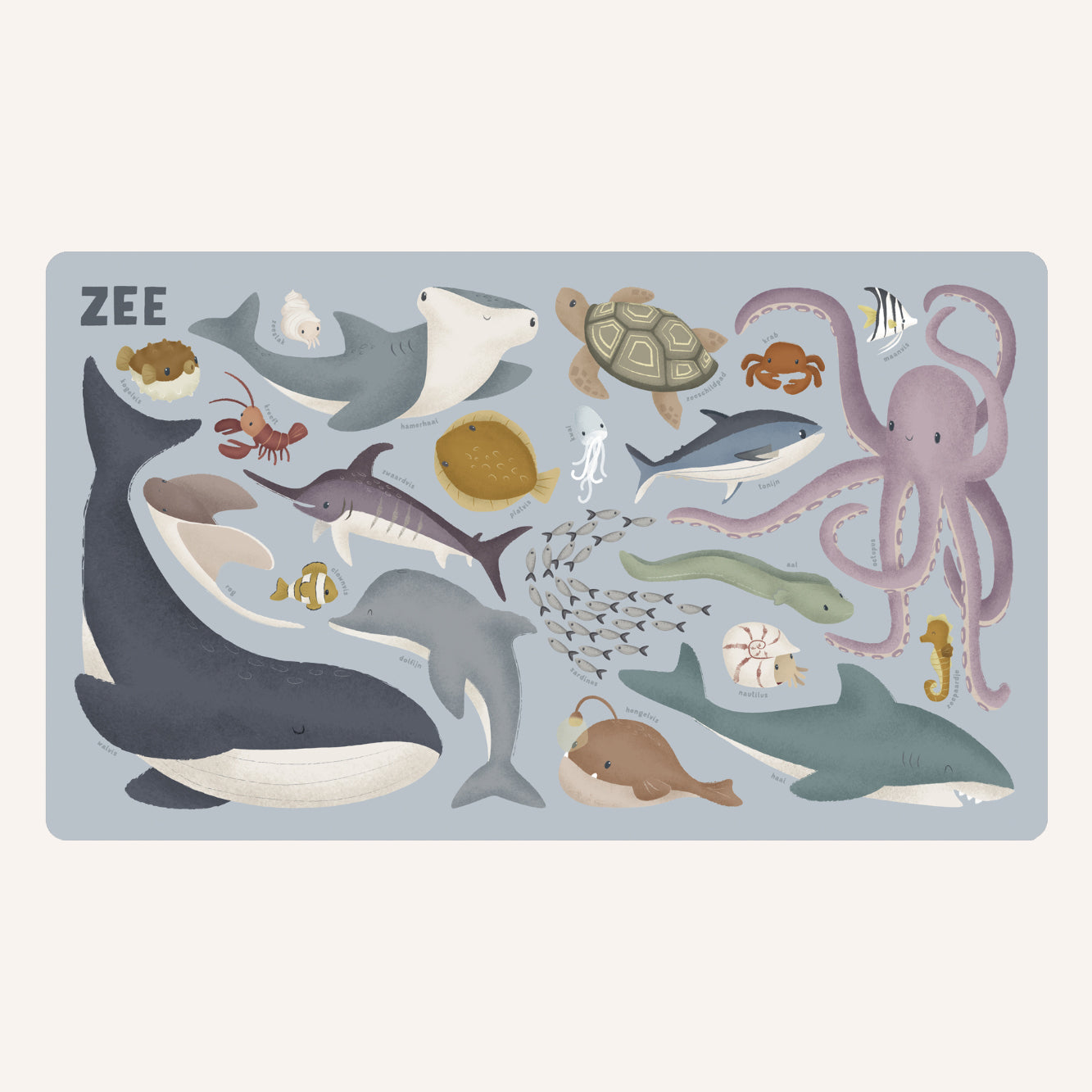 My First Animal Book