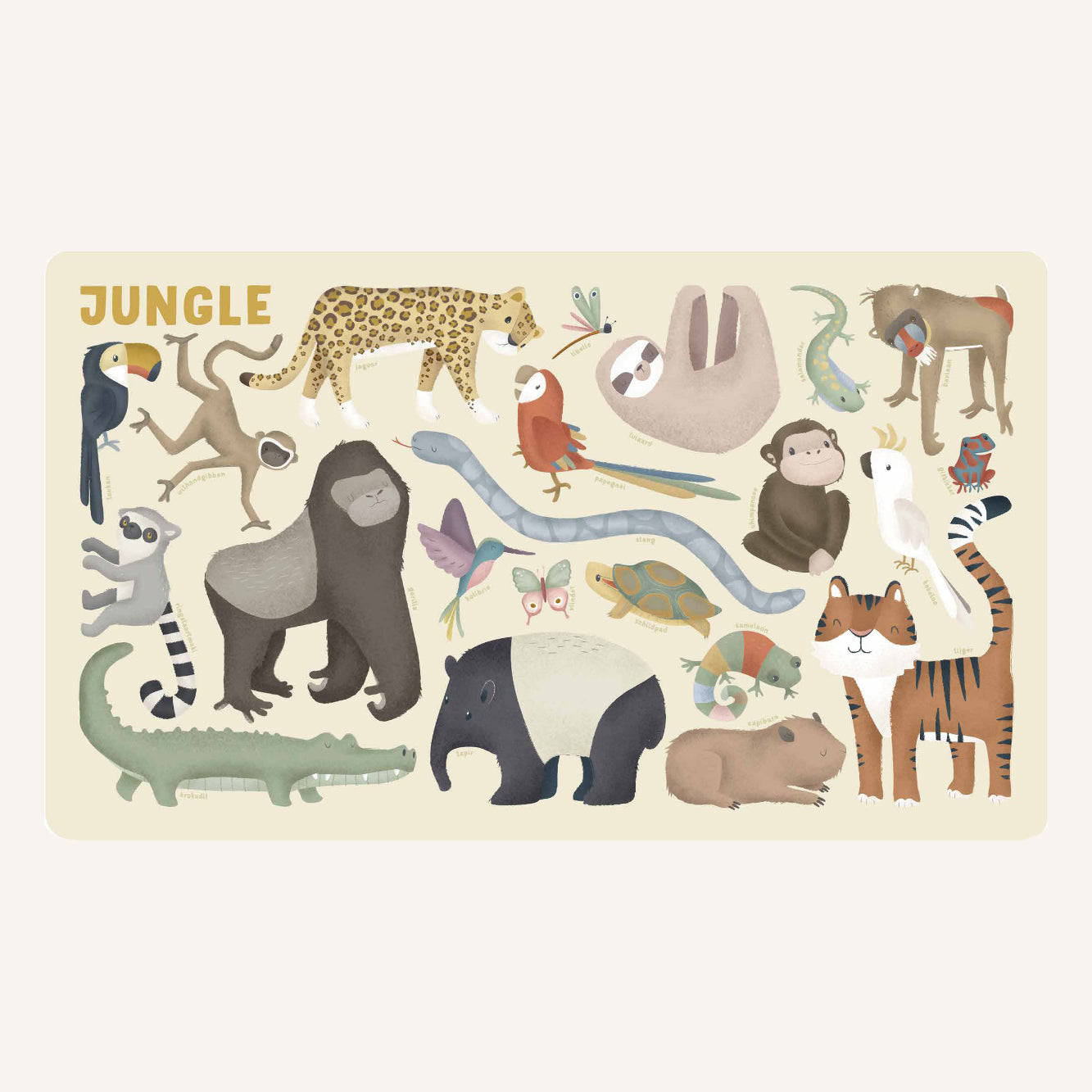 My First Animal Book