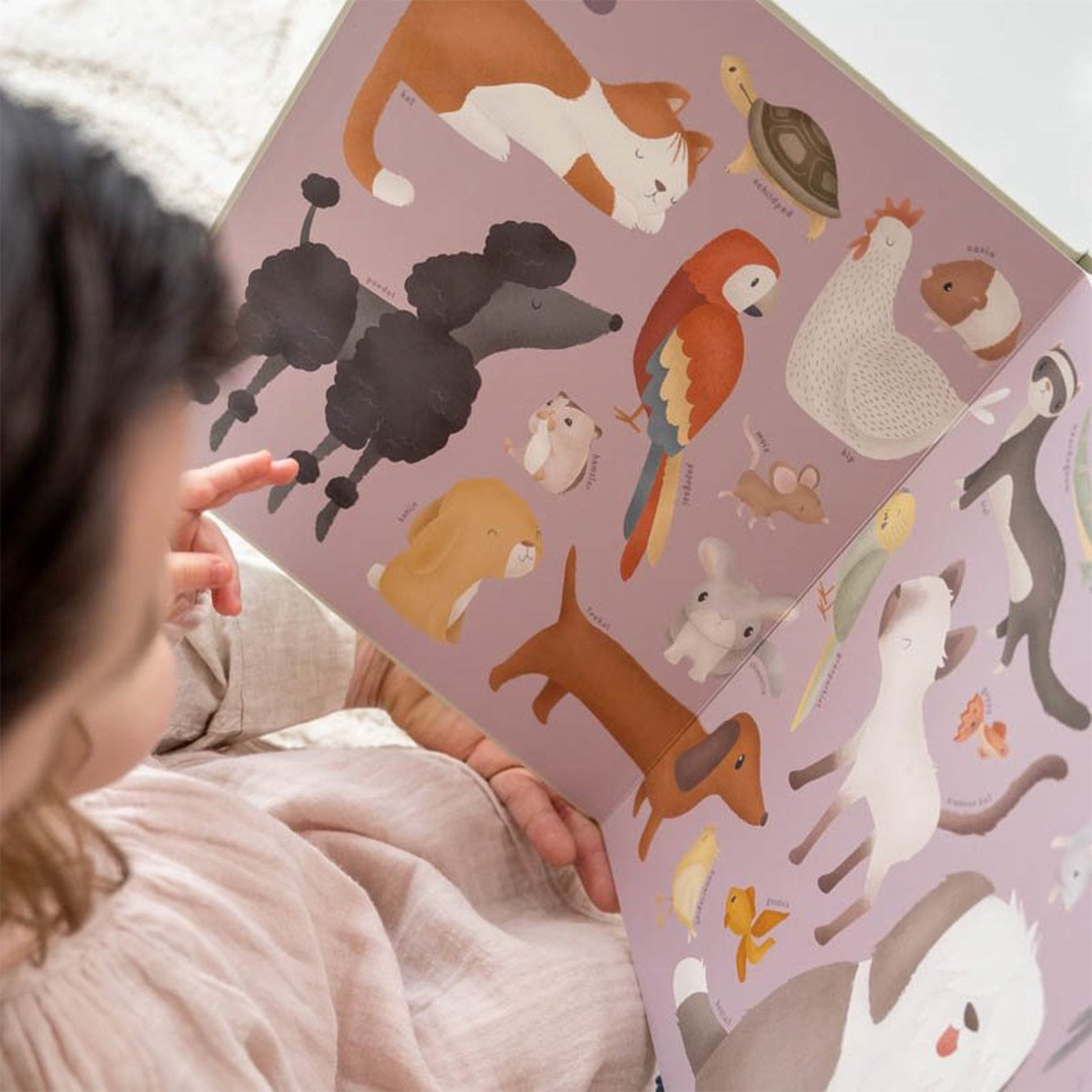 My First Animal Book