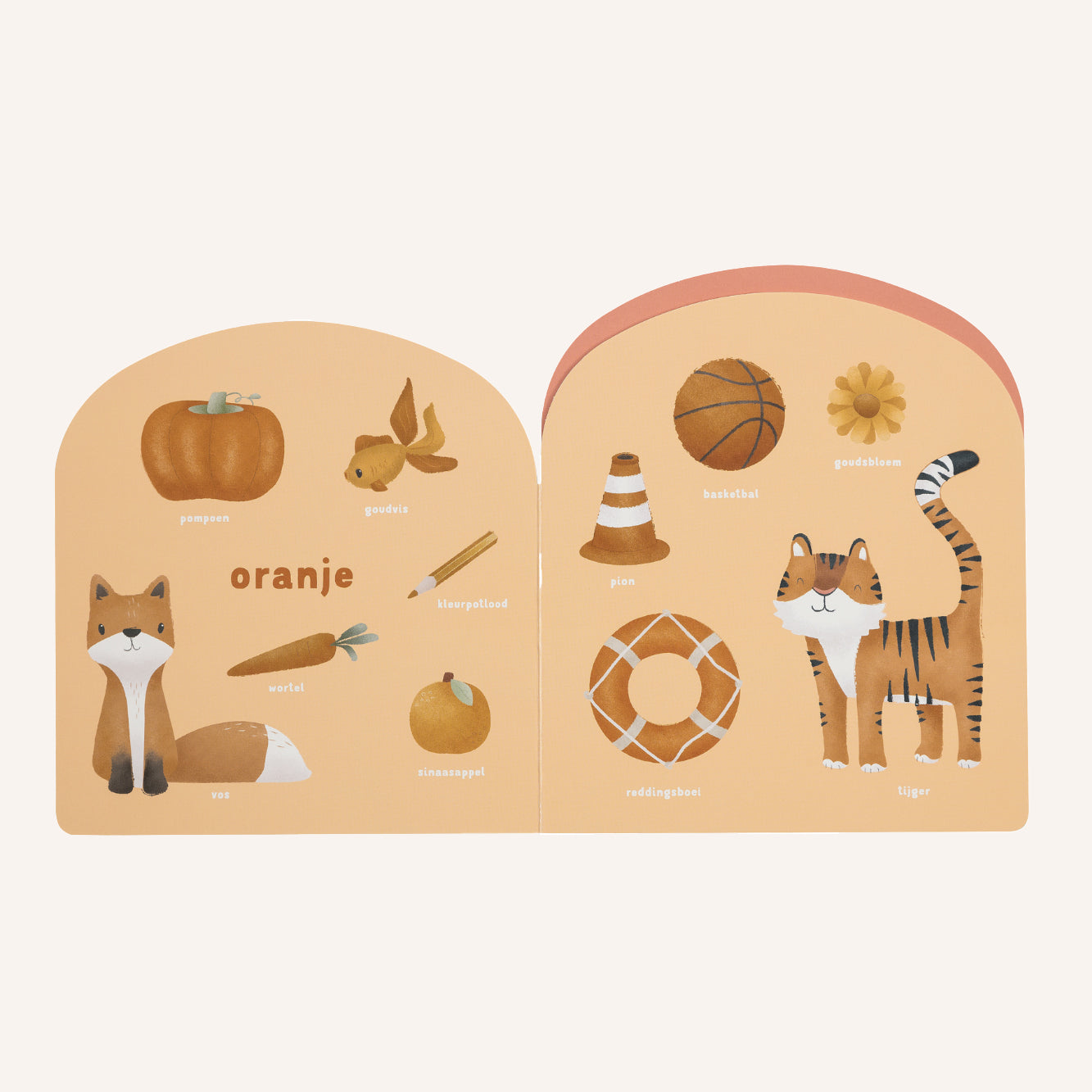 Regenboog | Kleurenboek