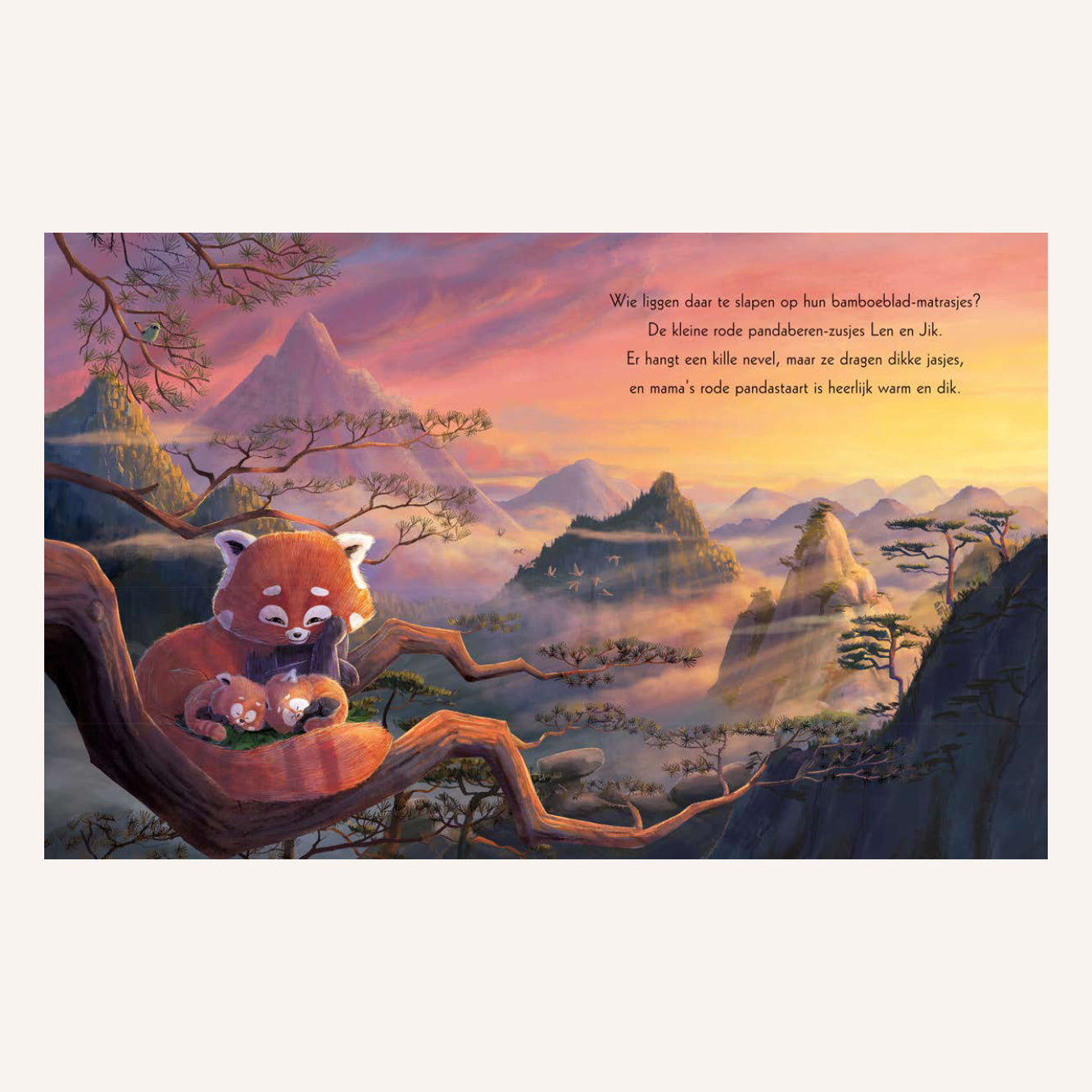 Beloofd Is Beloofd, Kleine Panda's | Boek