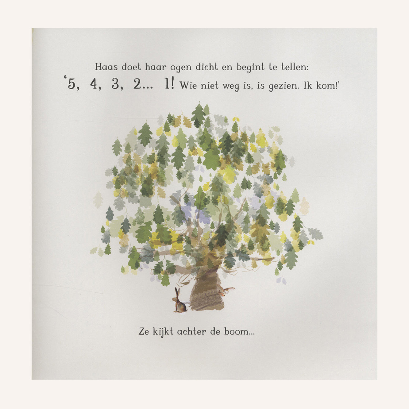 Haas, Uil & Vos Spelen Verstoppertje | Boek